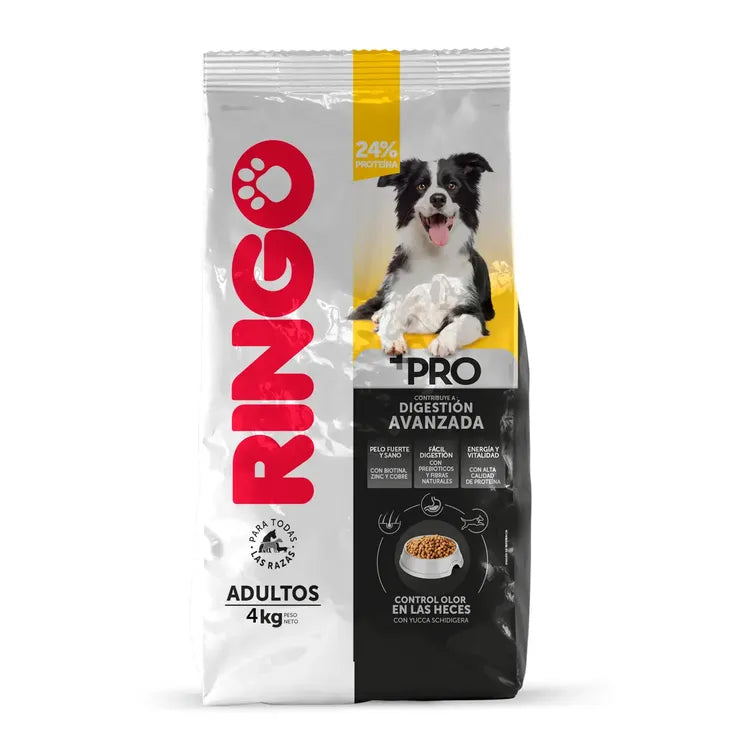Ringo + Pro (Premium)