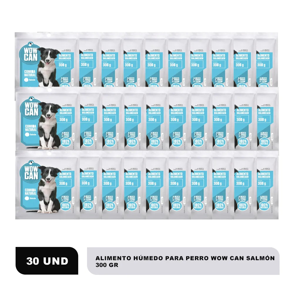 Pack de 30 unidades x 300 g de WOW CAN sabor salmón