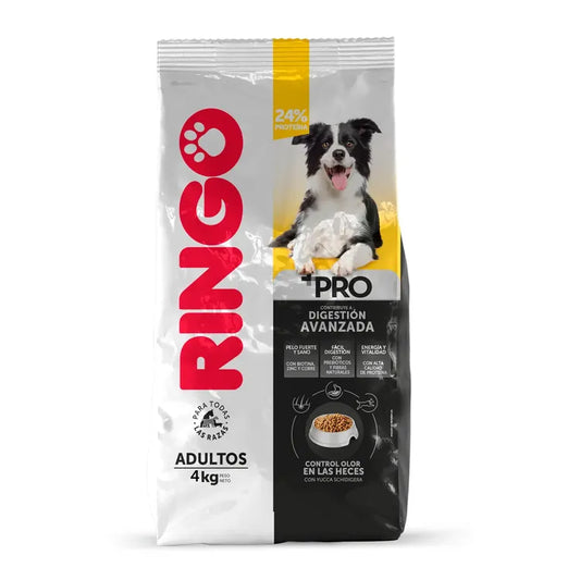 Ringo + Pro (Premium)