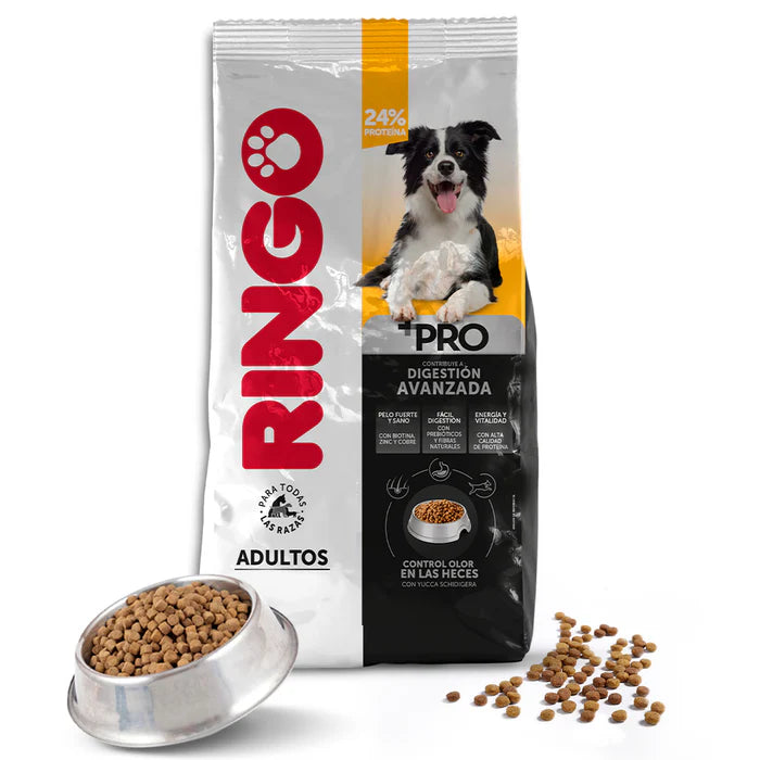 Ringo + Pro (Premium)