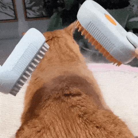 Cepillo Removedor de Pelo con Vapor 🐾