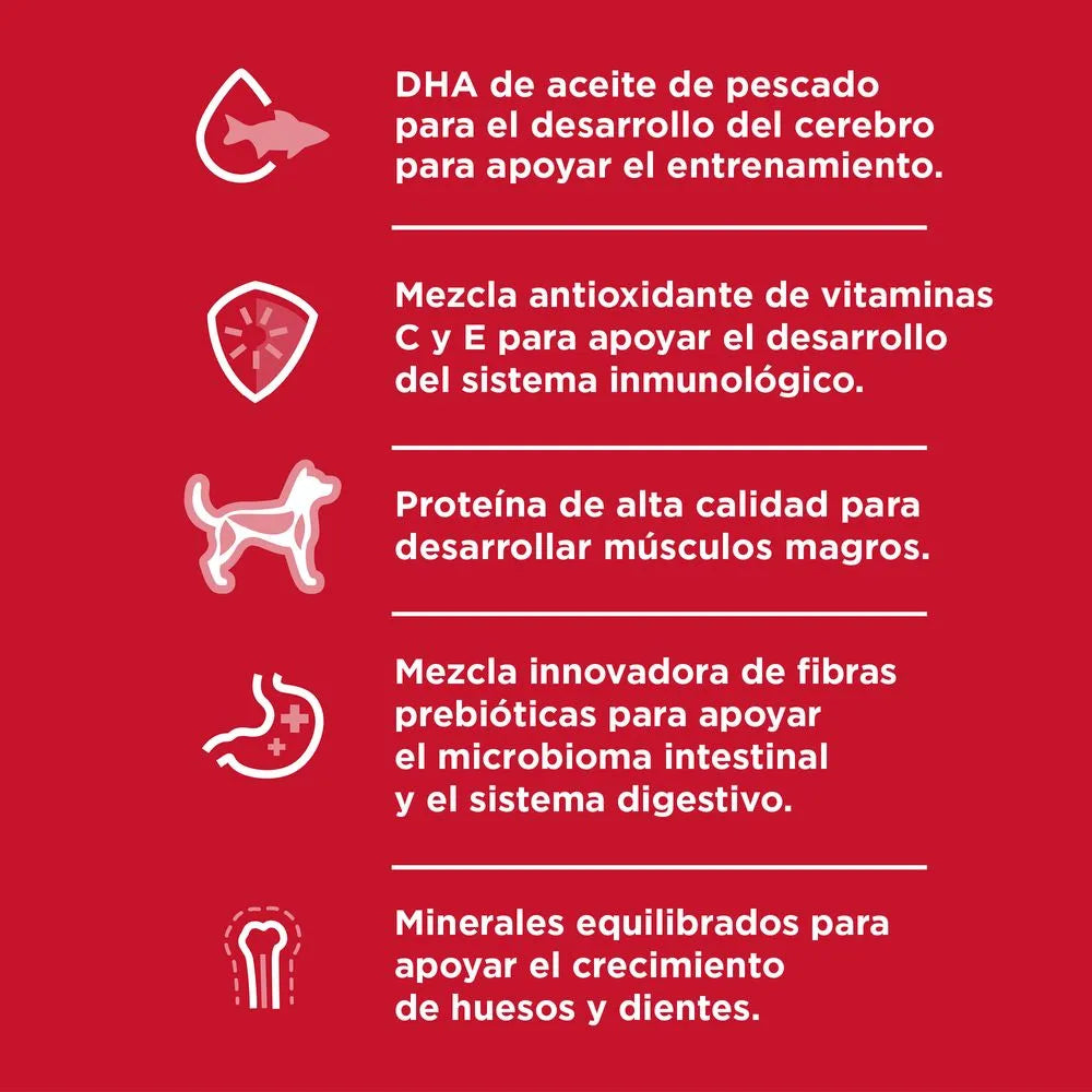 Hill’s Science Diet Small Paws Puppy – Alimento para Cachorros Razas Pequeñas