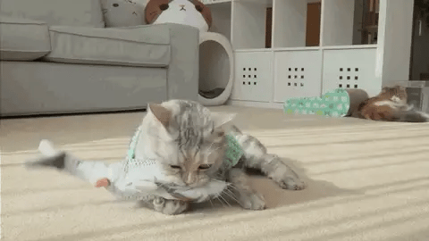 🐟 Pez Eléctrico Interactivo para Gatos – ¡Se Mueve Solo!