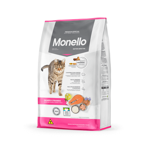 Monello Gato Adulto
