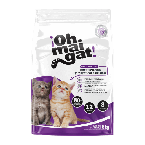 Oh Maigat Juguetones y Exploradores (gatitos)